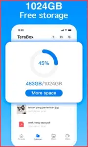 The_Good_and_The_Bad_of_Terabox_Mod_APK_Premium_Unlocked_2